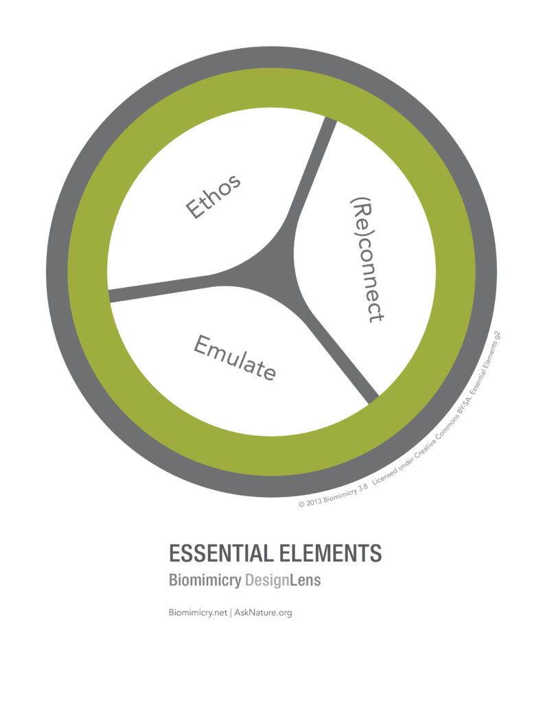 biomimicry38_designlens_essential_elements_web